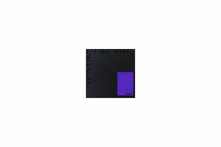 卫兰《It’s OK To Be Sad》网盘下载-六音